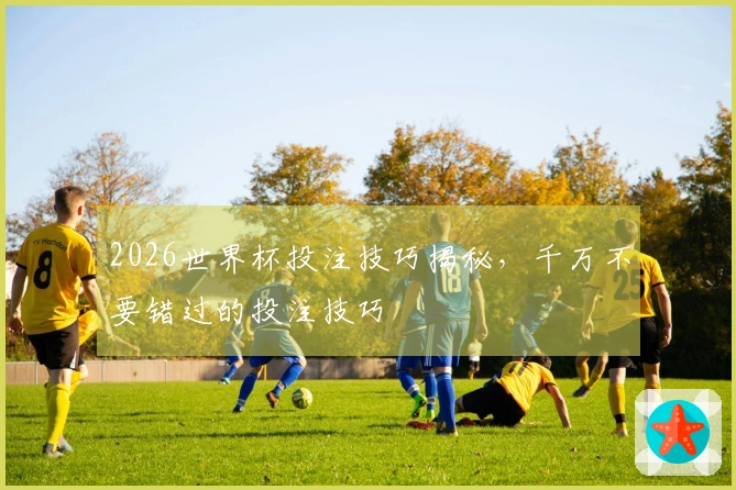 2026世界杯投注技巧揭秘，千万不要错过的投注技巧