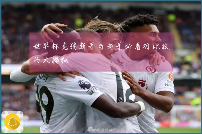 世界杯竞猜新手与老手必看对比技巧大揭秘
