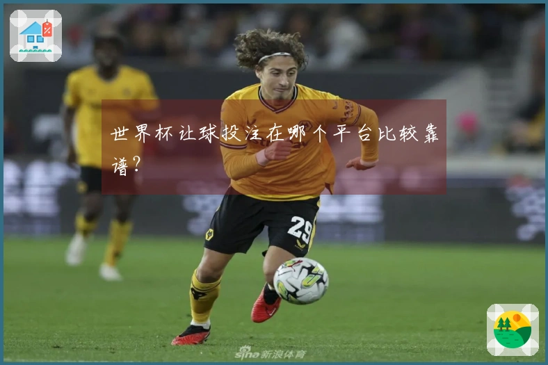 世界杯让球投注在哪个平台比较靠谱？