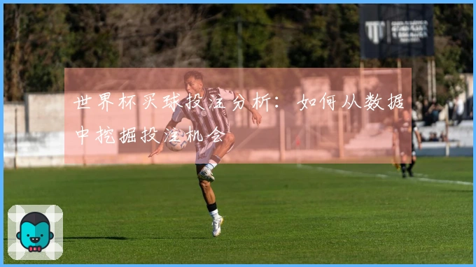 世界杯买球投注分析：如何从数据中挖掘投注机会